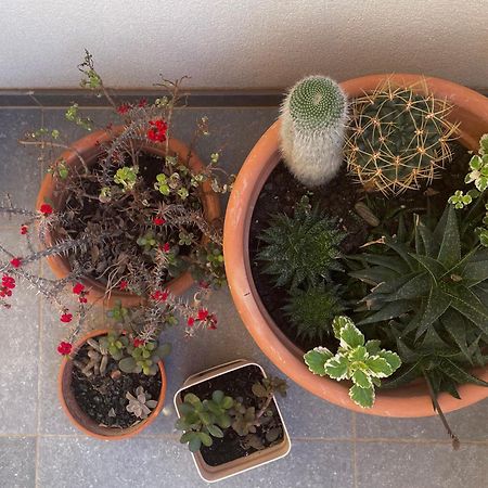 Apartamento Blueberry Bol Exterior foto