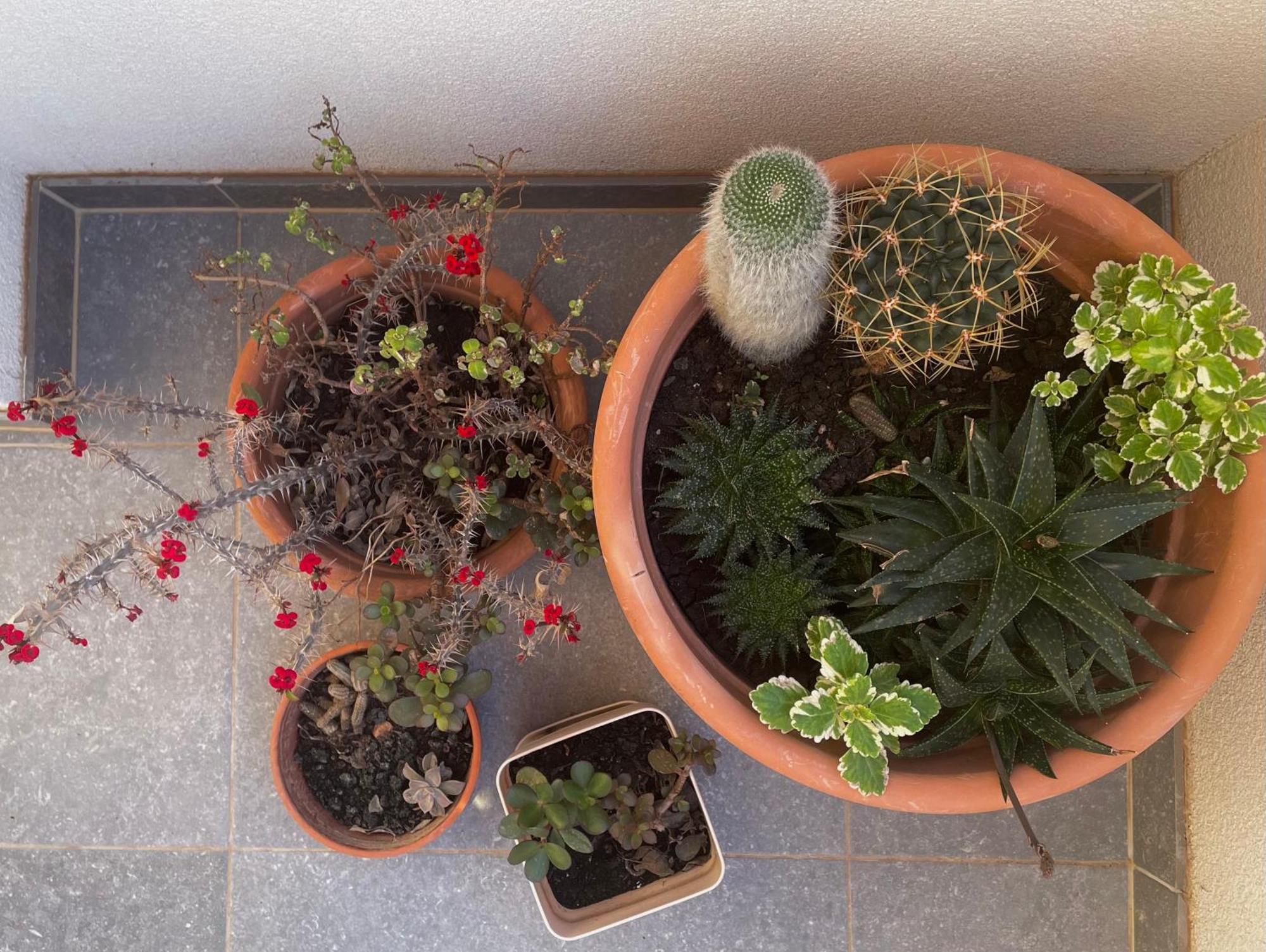 Apartamento Blueberry Bol Exterior foto